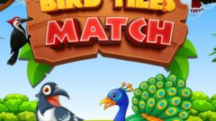 Bird Tiles Match
