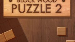 Block Wood Puzzle 2