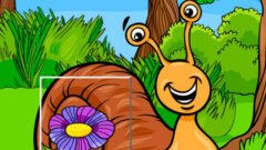Insect Pic Puzzles