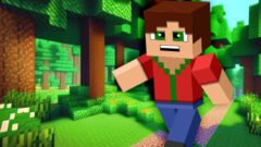 Minicraft Insane
