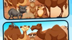 Spot 5 Differences Deserts