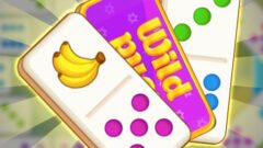 Domino Solitaire