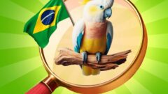 Hidden Objects: Vacation in Brazil