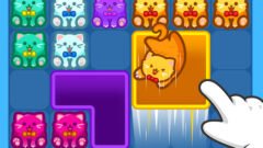 Meow Block: Color Collect!