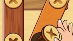 Screw Nuts & Bolts: Wood Solve