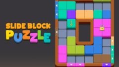 Slide Block Puzzle