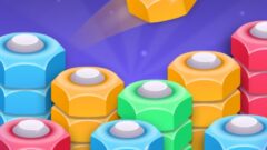 Sort Puzzle – Nuts and Bolts